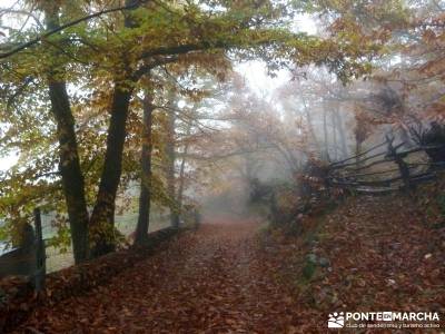 Senda Viriato; Sierra San Vicente; cotos madrid buitrago de lozoya casa bosque rascafria